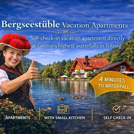 Self-check-in Ferienwohnungen&Apartments am Bergsee-3