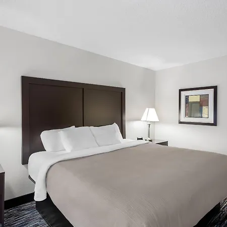 Quality Inn & Suites Niles-2