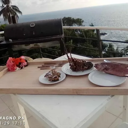 Cocos Camp (Adults Only)-2