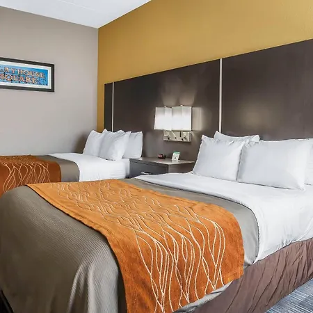 Comfort Inn Cleveland Airport-3