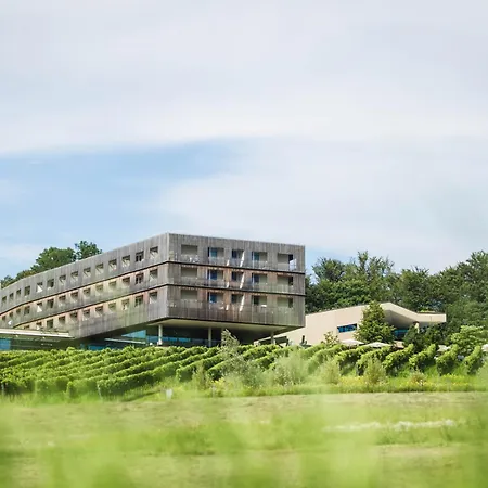 Loisium Wine & Spa Hotel Suedsteiermark-3