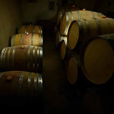 Areni Wine Art-2
