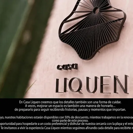 Casa Liquen-2