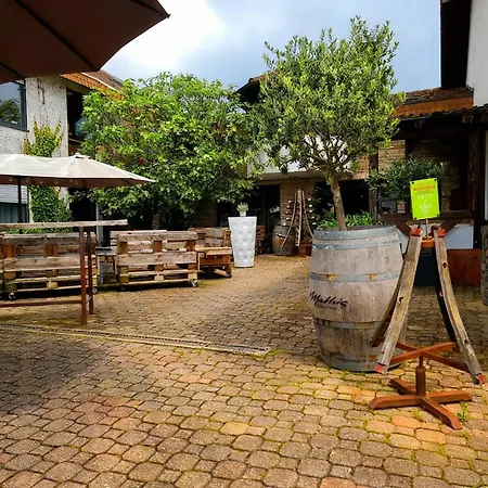Weingut Mathis Apartment 1 Burgblick-3