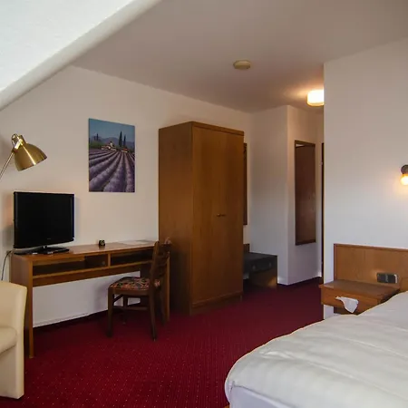 Hotel Alina-3