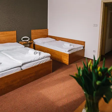 Hotel Olympionik-3