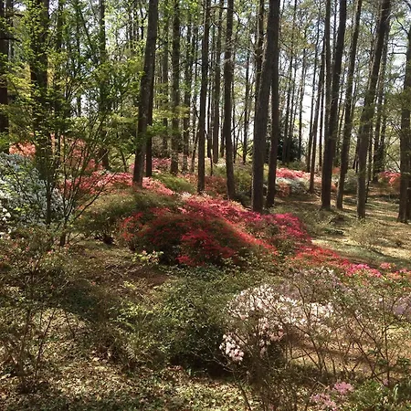 Callaway Resort & Gardens-3