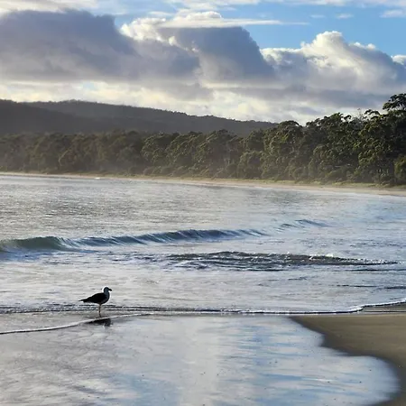Bruny Island Holiday Park-3
