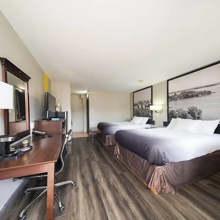 Super 8 By Wyndham Kingston-2