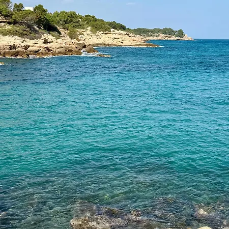 Hotel Alguer-3