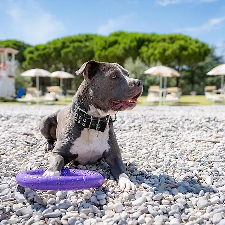 Club Del Sole Marina Julia Family Collection-3