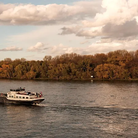 Hotel Am Rhein-3