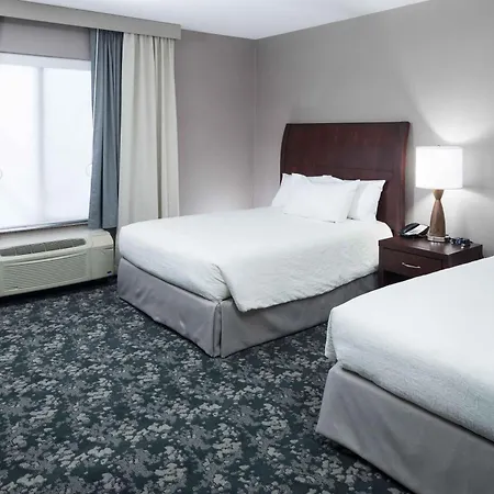 Hilton Garden Inn Detroit/Novi-3