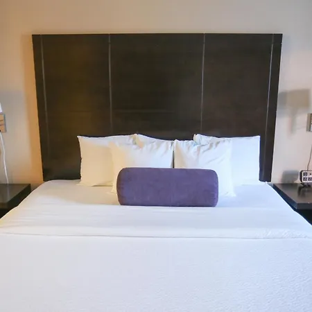 Prairie Crest Calgary Airport By Ihg-3