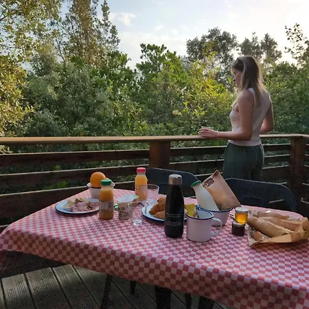Les Cabanes Dans Les Bois Logis Hotel-2