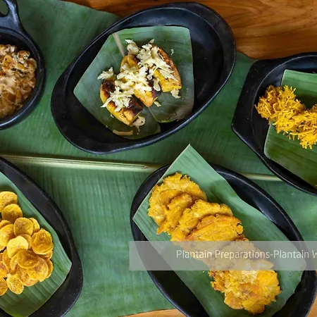 Hacienda Venecia Coffee Farm Hotel-3