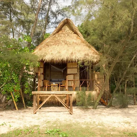 Kactus - Your Island Sanctuary-3