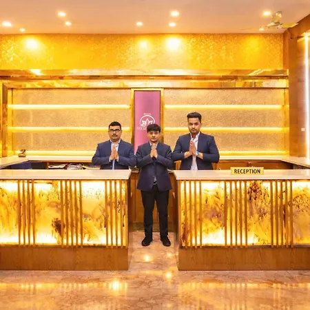 Hotel Golden Oasis - 5 Minute Walk From New Delhi Railway Station-2