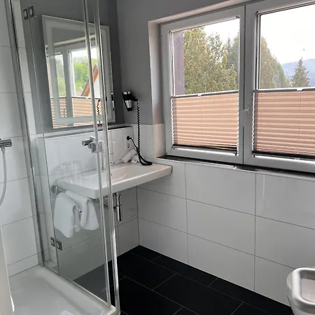 Parkhotel Krone Maleck-2