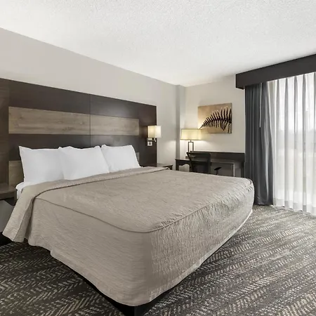 Best Western Plus Wausau Tower Inn-3