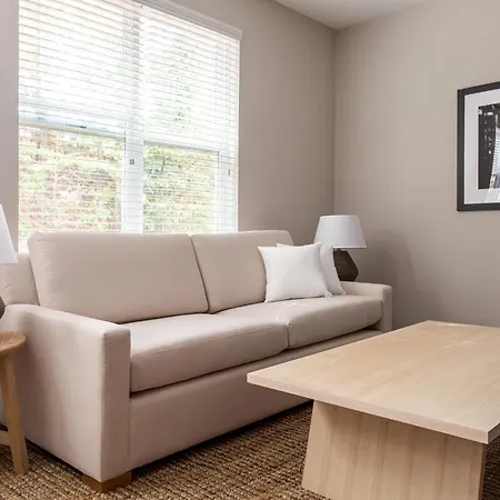 Kasa Freemorewest Charlotte-2