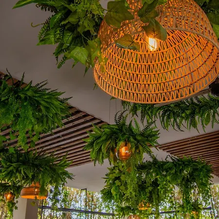 Eco City Hoteles-3