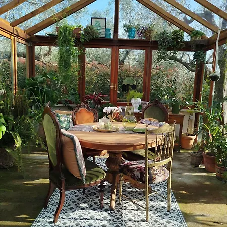 The Treehouse - Casa sull'albero al Golden Camp-3
