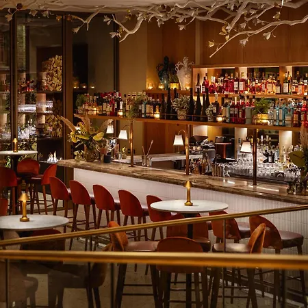 The Botree London, Curio Collection By Hilton-3