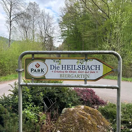 Die Heilsbach gGmbH-2