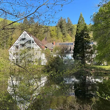 Die Heilsbach gGmbH-2
