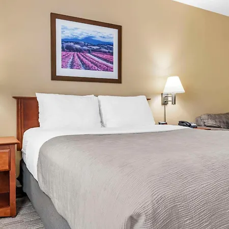 Quality Inn Airport-2