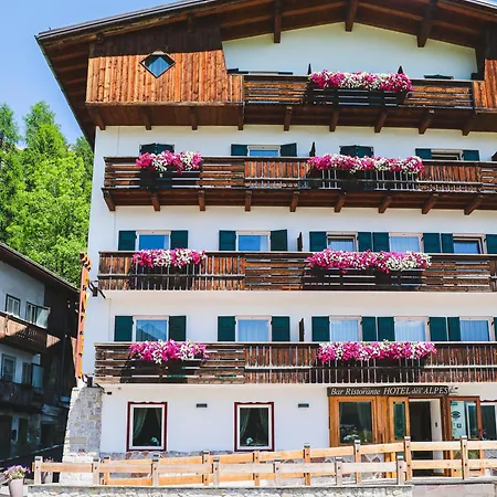 Hotel Des Alpes-2