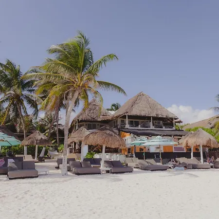 Villa Las Estrellas Tulum - located at the party zone-2