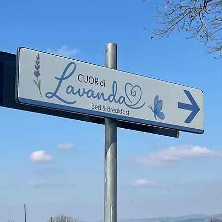 B&B Cuor Di Lavanda-2