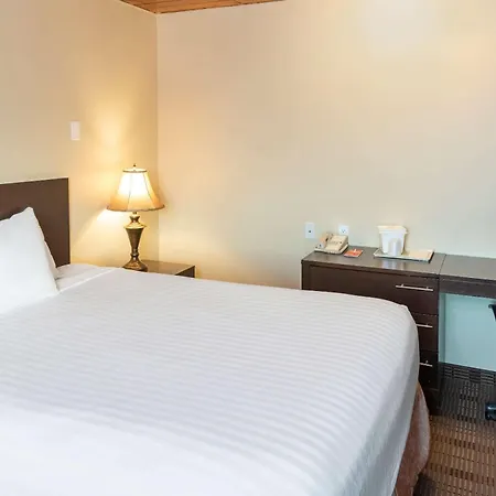 Econo Lodge Inn & Suites-3