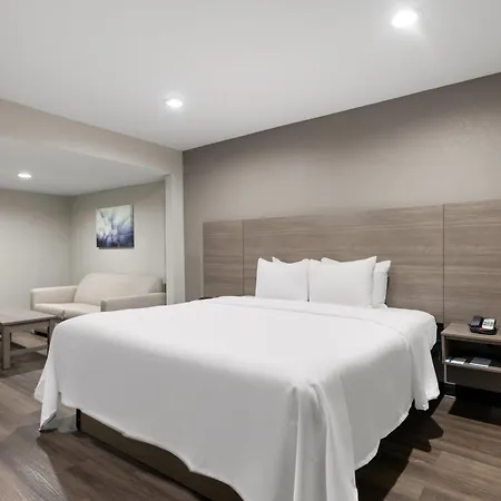 Quality Suites Wildwood - The Villages-3