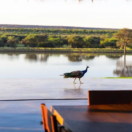 Wabi Private Luxury Game Reserve-3