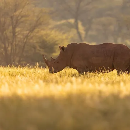 Wabi Private Luxury Game Reserve-2