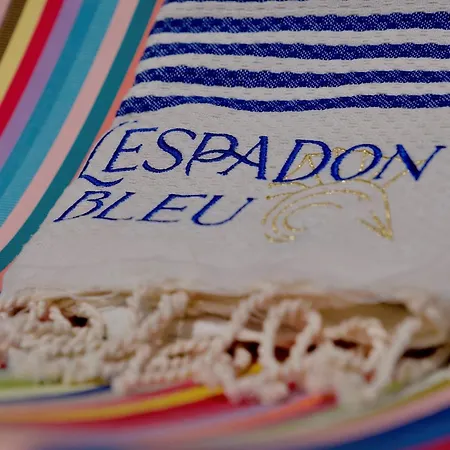 Hotel Espadon Bleu-3
