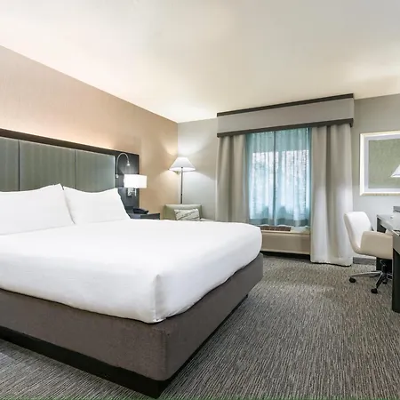 Holiday Inn Auburn By Ihg-3