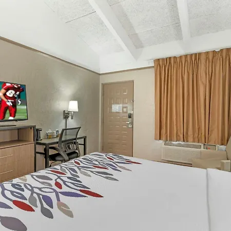 Red Roof Inn Tampa Bay - St. Petersburg-3