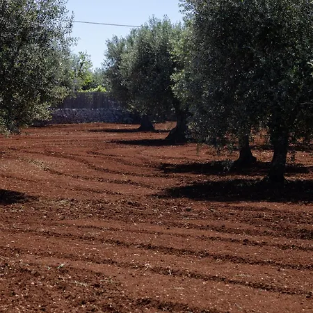 Pietra Pesara-2