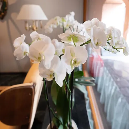 Hotel Garni Haus Arenberg-3