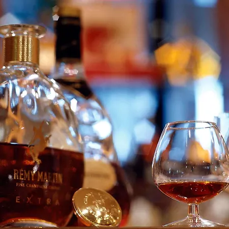 Ibis Styles Cognac-3