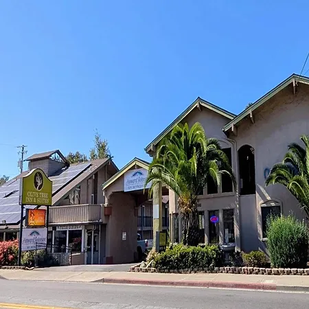 Olive Tree Inn & Suites, A Howard Johnson By Wyndham-2