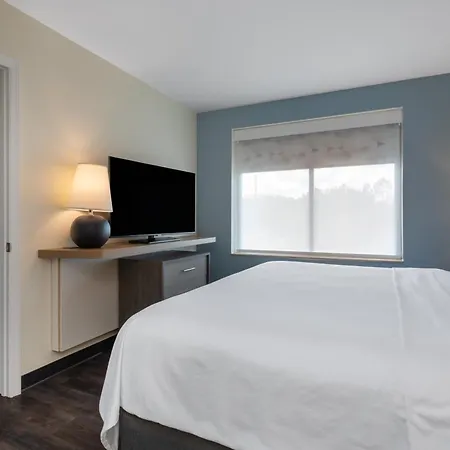 Holiday Inn - Tampa North By Ihg-3