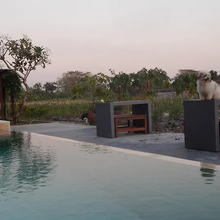 Rosella Cottages - Homestay - Yogyakarta-3