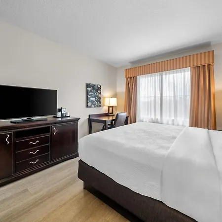 Country Inn & Suites By Radisson, Port Orange-Daytona, Fl-2