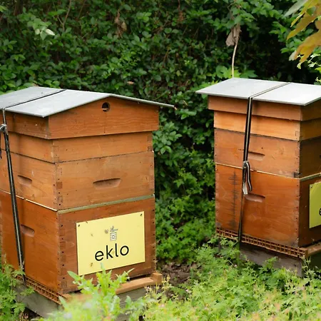 Eklo Hotels Lille-3