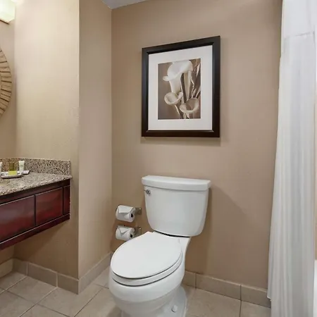 Hilton Orlando Lake Buena Vista - Disney Springs™ Area-3